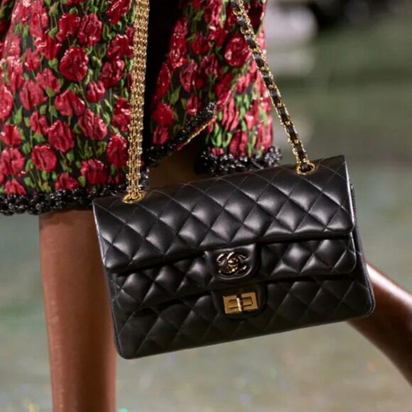 WhatsApp Image 2026-03-12 at 10.57.09 AM